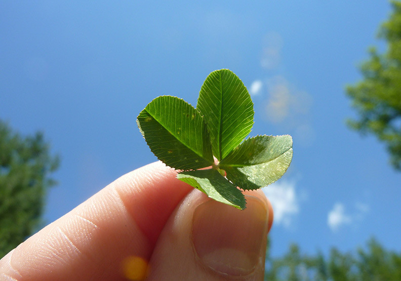 信用空白的自營商要怎麼貸款？